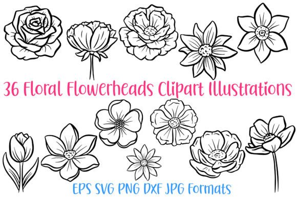 36 Floral Wildflower Flowerheads PNG SVG Graphics and Illustrations