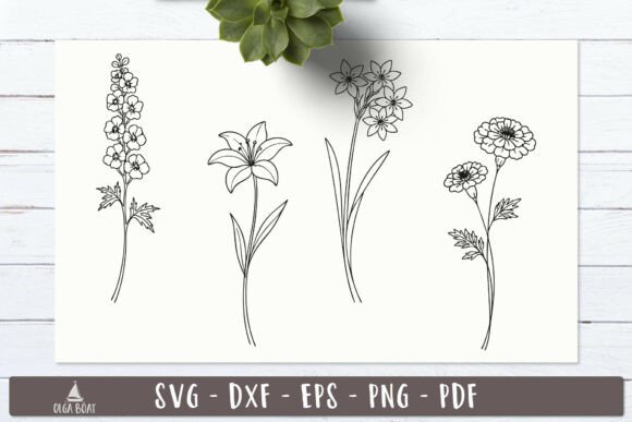 Garden SVG Floral Line Art Designs: Graphics and Illustrations for Editorial Use